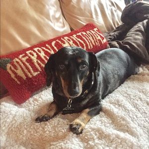 Meet your Posher, Laurie